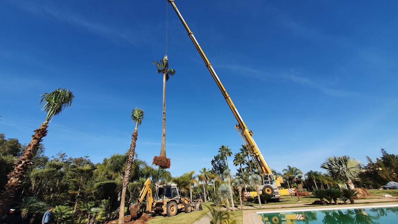 Opération de levage grue mobile au Maroc - SM Grue